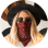 Verified Google Play user — 5-star LivU review, September 2020